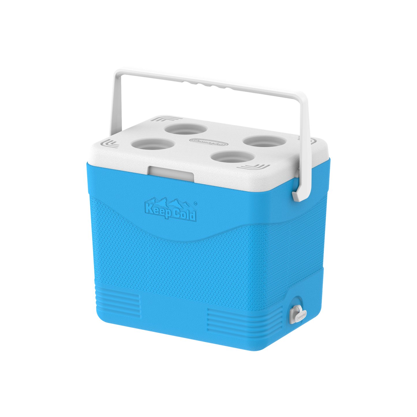 24L KeepCold Picnic Icebox - Cosmoplast Bahrain