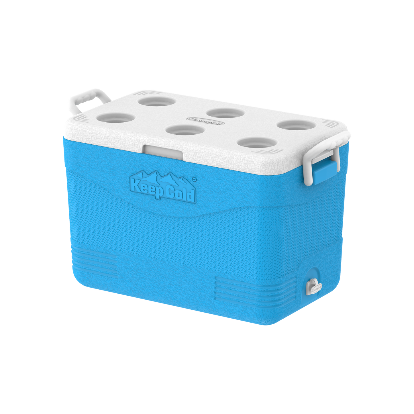 46L KeepCold Picnic Icebox - Cosmoplast Bahrain